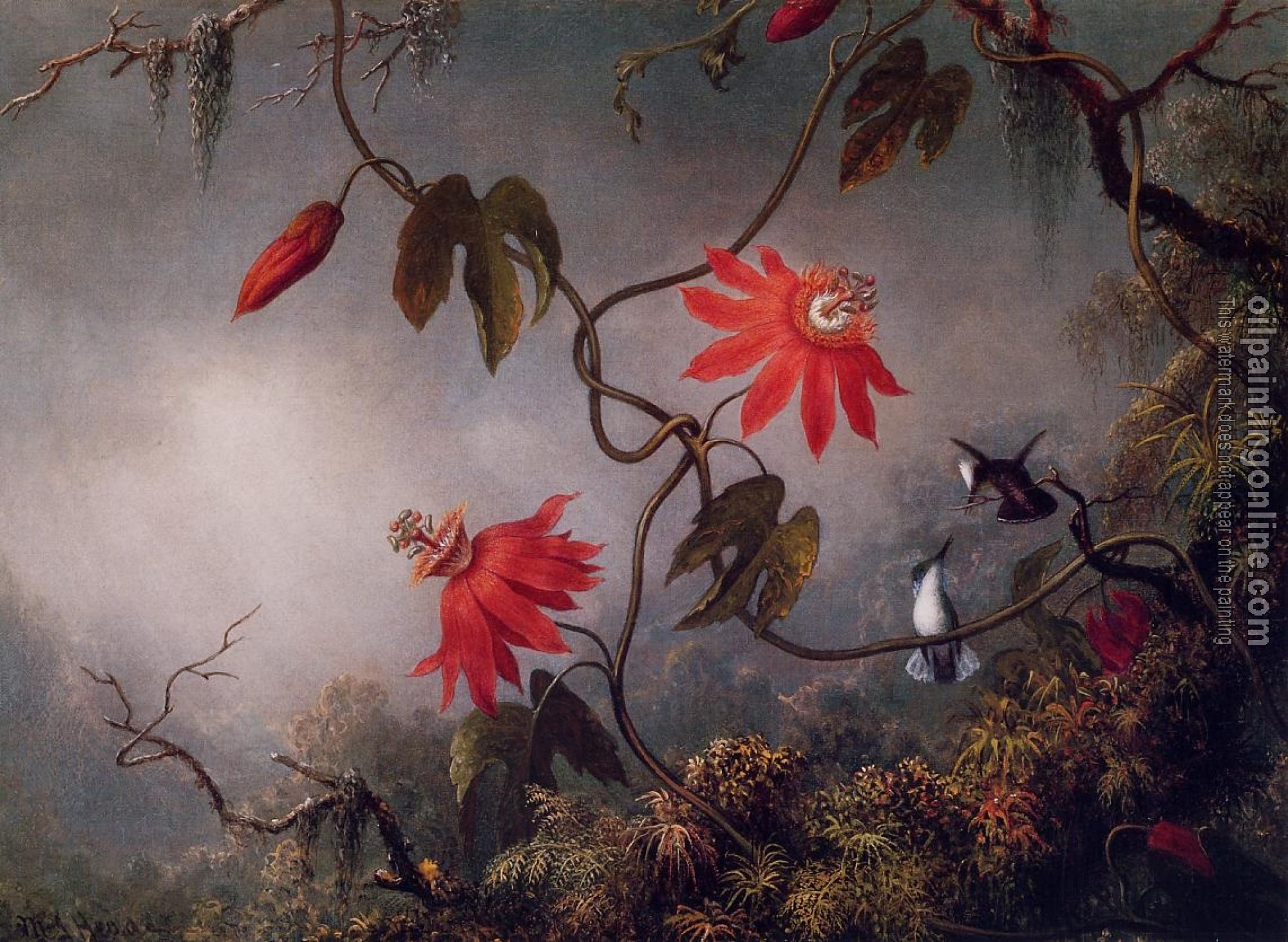 Heade, Martin Johnson - Passion Flowers and Hummingbirds